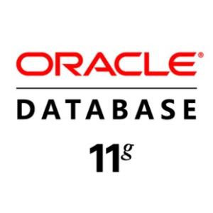 Oracle (sh)(j)(k) Oracle 11G/12C I(y)  ԭS  1Processor